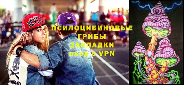 ГАЛЛЮЦИНОГЕННЫЕ ГРИБЫ Кинешма