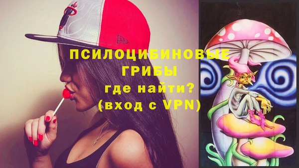 стафф Киреевск