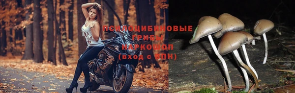 молекула духа Киренск